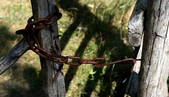 (侠客风云传单机破解版下载地址)叱咤风云:侠客风云传单机版,让你感受古代武林的刺激与厮杀 (侠客风云传单机破解版下载地址)叱咤风云:侠客风云传单机版,让你感受古代武林的刺激与厮杀