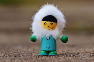 (浣熊游戏说)浣熊不高兴单机版：解锁快乐与挑战，享受独特的单人游戏体验