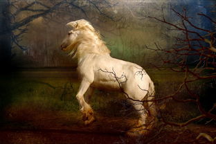 (神兽 山海经)探秘神奇山海经128种神兽，神秘古籍揭示的神兽王国全貌