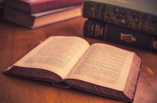 (菲尔多西简介)菲尔多西的诗歌：留下历史的深刻印记