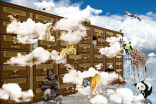 星天乐园超人熊：带你探索梦幻世界的奇妙冒险之旅与无限欢乐体验！