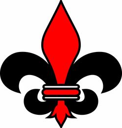 (艺术字体设计方法)在设计中如何运用艺术字体包提升视觉效果与品牌形象 (艺术字体设计方法)在设计中如何运用艺术字体包提升视觉效果与品牌形象