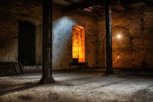 (《寻找遗失的记忆》)寻找遗失的终章：探寻最新版的线索与秘密