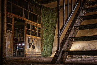 (《寻找遗失的记忆》)寻找遗失的终章：探寻最新版的线索与秘密