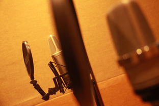 (电脑k歌麦克风推荐)麦克风电脑k歌专用，提升音质，让你的歌声更动听更妙不可言