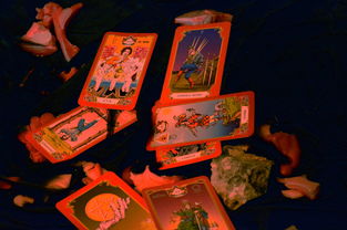 探索神秘世界：魔力宝贝魔物调查——深度剖析召唤法则与捕获技巧