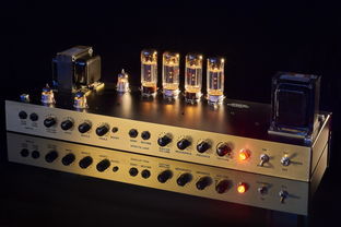 (疯子论坛网站)探讨电脑疯子技术论坛官网的最新动态和热门话题，尽在这里！