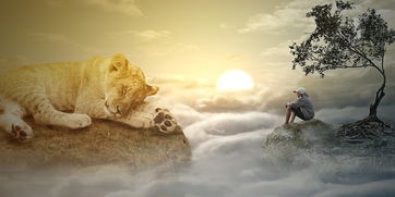 (在哪里可以找到能够净化心灵的地方呢)在哪里可以找到能够净化心灵的地方? (在哪里可以找到能够净化心灵的地方呢)在哪里可以找到能够净化心灵的地方?