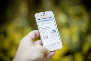 探寻节气之子游戏手机版最新版本特色及玩法,畅享全新游戏体验 探寻节气之子游戏手机版最新版本特色及玩法,畅享全新游戏体验