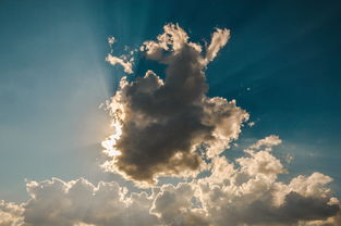 (夏日梦想家免费阅读)夏日梦想家全文阅读:漫步炎炎夏日,追寻内心的美妙乐章 (夏日梦想家免费阅读)夏日梦想家全文阅读:漫步炎炎夏日,追寻内心的美妙乐章