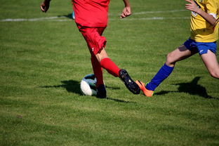 详细解析:以战胜终极boss为目标的冒险岛联盟的意志攻略全攻略指南 详细解析:以战胜终极boss为目标的冒险岛联盟的意志攻略全攻略指南