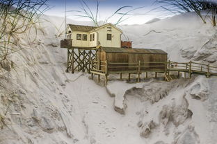 (末日:有关世界末日的预言)探寻神秘代号末日:揭秘世界末日之谜,解读未来的命运 (末日:有关世界末日的预言)探寻神秘代号末日:揭秘世界末日之谜,解读未来的命运