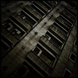 (在哪里可以找到战地无疆星辉端的宝藏呢)在哪里可以找到战地无疆星辉端的宝藏？