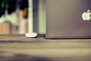 (电脑壁纸1366×768可爱)超可爱电脑墙纸图片大全高清版:让电脑桌面心情也瞬间变蜜甜 (电脑壁纸1366×768可爱)超可爱电脑墙纸图片大全高清版:让电脑桌面心情也瞬间变蜜甜