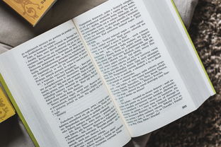 24节气趣味活动一览表:发现传统文化魅力,体验不一样的节气乐趣 24节气趣味活动一览表:发现传统文化魅力,体验不一样的节气乐趣