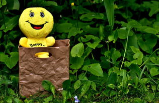 探索奇幻小镇：快乐小动物们的2D经营冒险之旅，让你打造梦想中的田园生活