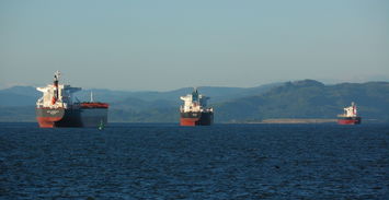 (船讯网船舶动态查询免费版_船舶位置查询_...)免费查询船舶位置信息，尽在船讯网免费版！