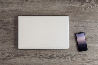 冰点文库器手机版：阅读文库内容的高效工具，轻松体验无限书香