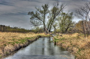 (描写烟雨江南的诗句有哪些)古风诗文美如画：描写烟雨江南诗词名句集锦