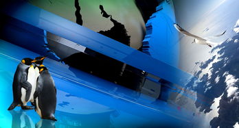 (探寻梦幻古龙官方网站的神秘世界是什么)探寻梦幻古龙官方网站的神秘世界