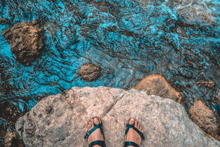 (探索生存下载)探索生存英雄手游：挑战极限，体验真实生存冒险的刺激与乐趣