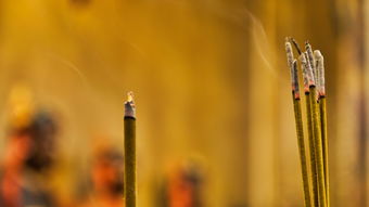 如果一生只有三十岁完整版：探讨时间的珍贵与生命的意义，如何更有意义度过我们有限的时光