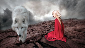 (东北奇异录电影)深度挖掘：揭秘《东北奇缘》演员表背后的演员故事与角色刻画