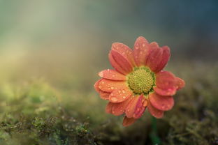 (幸运之星作为微信名是否会带来好运呢)幸运之星作为微信名是否会带来好运？