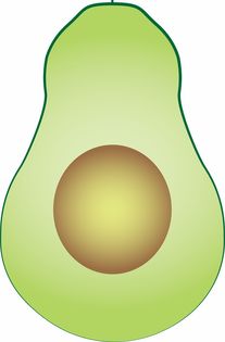 (细胞的成长历程)探寻细胞成长经历：从分裂到演化，生命的奥秘深藏其中