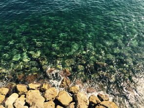 (穿越风暴户外官网)穿越风暴的挑战：探秘未知之岛，发现远征岛游戏的神秘秘密