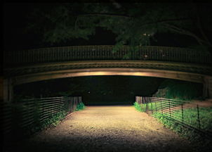 (荒野迷踪)探索荒野迷城游戏：揭开神秘的迷失之地与生存挑战