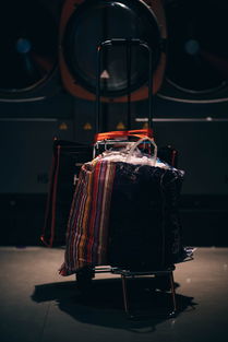 (2046游戏怎么玩)2046游戏有什么技巧？三个实用技巧助你在2048世界脱颖而出