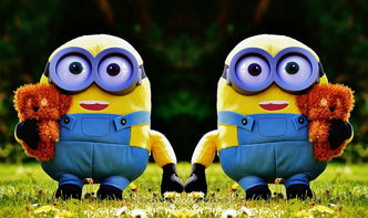 (企鹅跳跳跳)搞笑又可爱！跳跳企鹅表情包带你进入最萌的动物世界