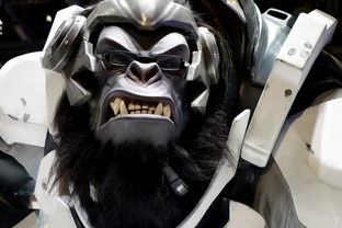 代号牧星什么时候出啊？最新消息和游戏详情，让你第一时间了解