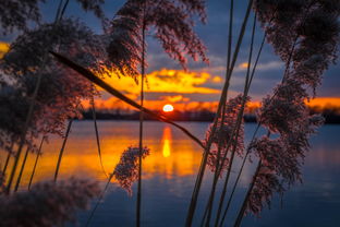 (夏日1.95攻略)夏日攻略：解锁全CG，让你度过一个充满阳光和快乐的夏天