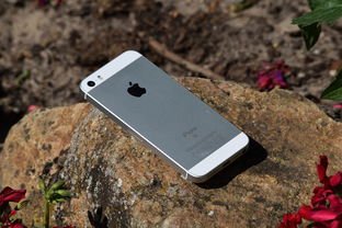 免费下载诺基亚手机全屏壁纸，精美壁纸任你选择，打造个性手机界面