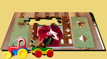 (小王子的幻想谜境游戏有几关)小王子的幻想谜境游戏一共几关？游戏关卡分析与解密攻略