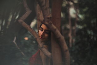 (文明大爆炸2021年隐藏礼包)文明大爆炸68块新年礼包震撼登场,惊喜连连等你来抢购 (文明大爆炸2021年隐藏礼包)文明大爆炸68块新年礼包震撼登场,惊喜连连等你来抢购