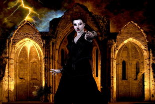 (吸血侦探神秘的女人是谁)密探代号吸血姬被国家抓捕了吗？