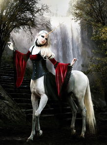 穿越奇幻世界：冒险与召唤狩猎图鉴大全，探索神秘生物的秘密与力量