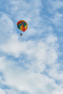 (小小船长儿歌)宝宝巴士小小船长游戏：航行海洋的冒险之旅