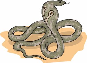 (蛇蛇大乱斗免费下载)蛇蛇大乱战无限金币钻石版本免费下载及游戏攻略分享