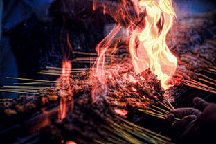 (全力以赴的动物属什么生肖)挥洒炽焰天穹：探寻火与光的交织之美，燃烧心灵的炽热激情