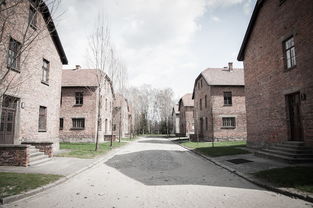 (天启二战第二集)探寻二战真相：天启100集全记录，揭示历史真相与残酷实况