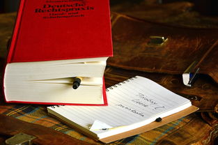 (《裁决》)裁决这本书：揭示故事背后的真相和人性的深层奥秘