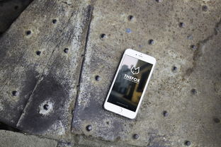 生化危机4安卓版中文：全新恐怖冒险，生化危机4重磅推出手机游戏