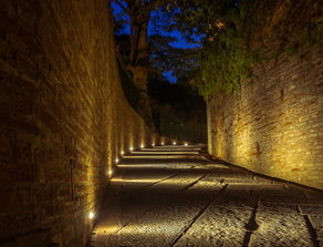 三国历史:曹贼的罪恶行径与权谋之道，对中国历史的深刻影响与教训