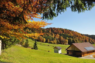 (良田改造有补贴金吗)这城有良田一折充值入口，畅享农田风光和充值优惠