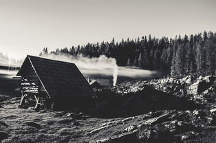 (神秘的黑色森林)探秘神秘的代号黑森林游戏:解谜冒险,揭开隐藏的秘密之谜 (神秘的黑色森林)探秘神秘的代号黑森林游戏:解谜冒险,揭开隐藏的秘密之谜