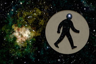 探讨宇宙尺度：比较凤凰座a和SDSS星系：从天体物理学角度讨论其质量大小